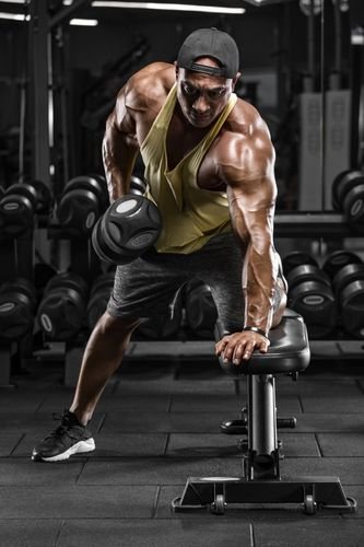 L'impact des stéroïdes sur la réduction du stress oxydatif dans le muscle